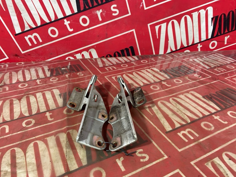 Петля (Шарнир капота), 500 рублей, Солонцы