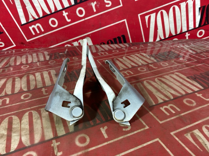 Петля (Шарнир капота), 500 рублей, Солонцы