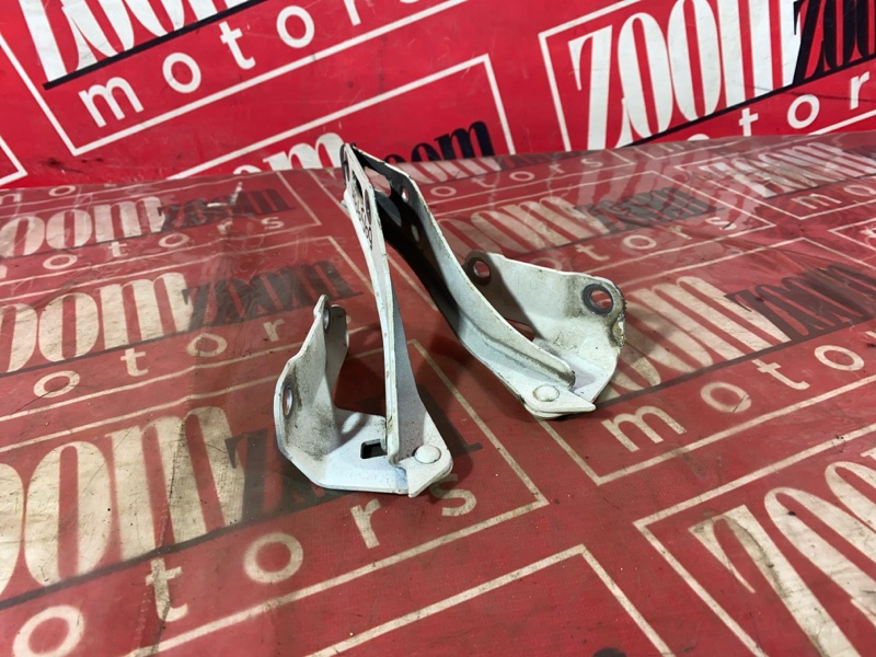 Петля (Шарнир капота), 500 рублей, Солонцы