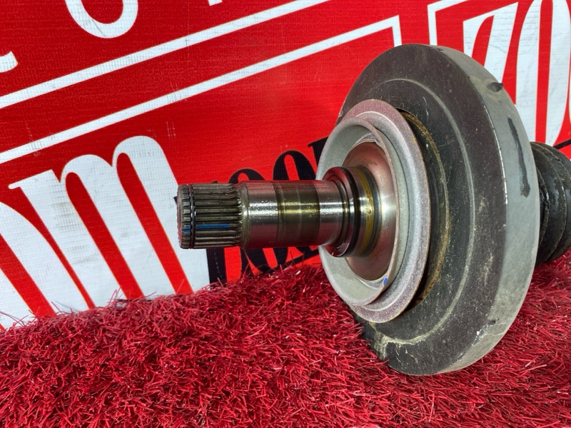 Привод, 1900 рублей, Солонцы