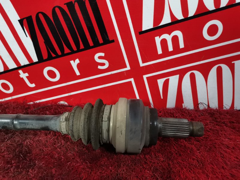 Привод, 3300 рублей, Солонцы