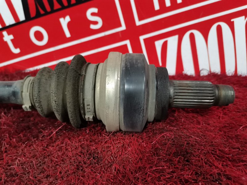 Привод, 3300 рублей, Солонцы