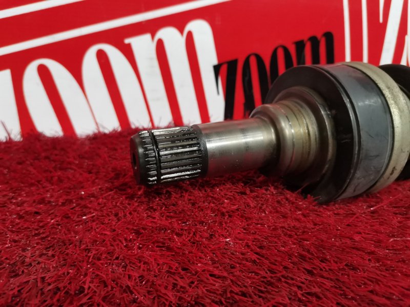 Привод, 3300 рублей, Солонцы