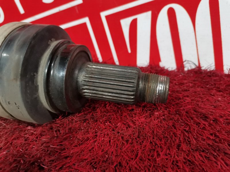 Привод, 3300 рублей, Солонцы