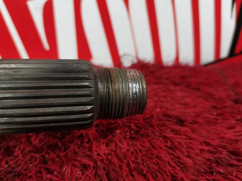 Привод, 3300 рублей, Солонцы