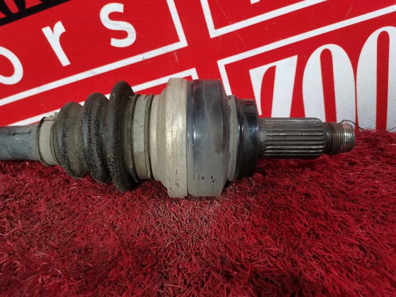 Привод, 3300 рублей, Солонцы