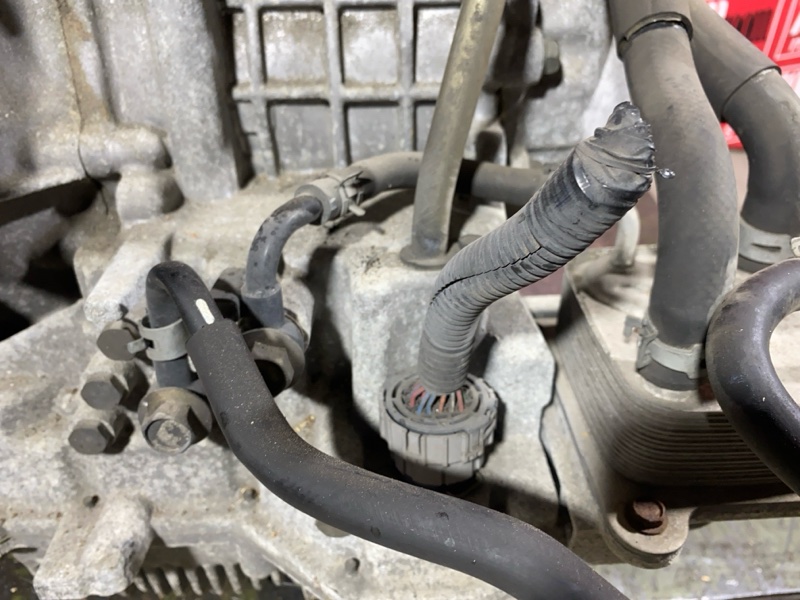 АКПП, 118800 рублей, Солонцы