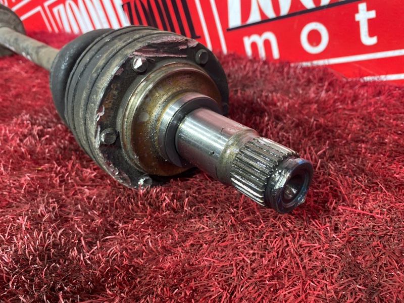 Привод, 3500 рублей, Солонцы