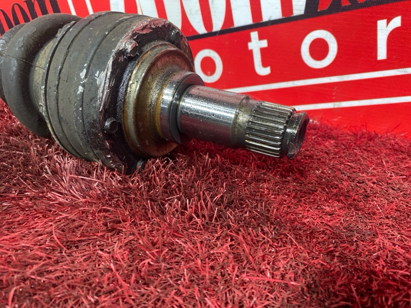 Привод, 3500 рублей, Солонцы