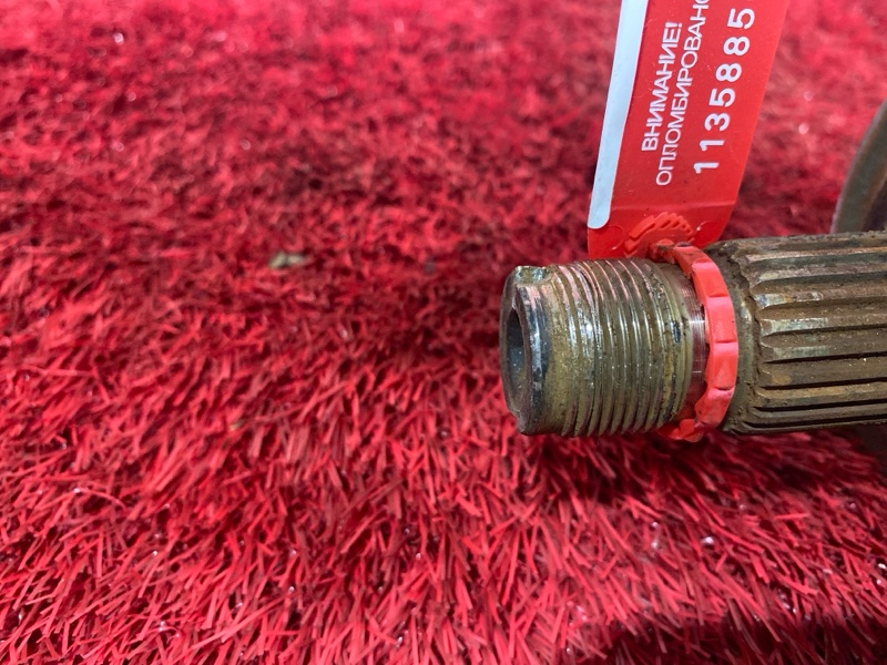 Привод, 3500 рублей, Солонцы