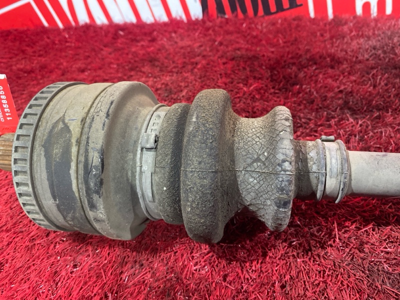 Привод, 3500 рублей, Солонцы