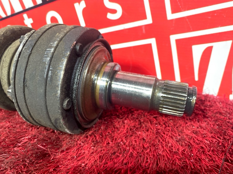 Привод, 3500 рублей, Солонцы