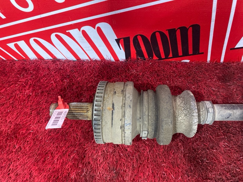 Привод, 3500 рублей, Солонцы