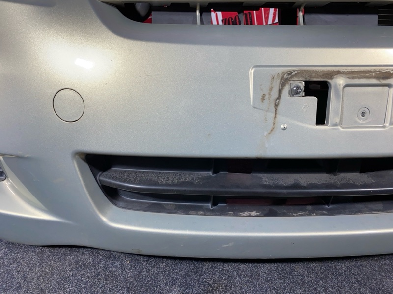 Nose cut, 23800 рублей, Солонцы