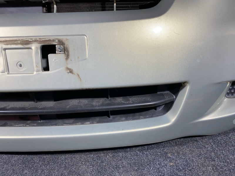 Nose cut, 23800 рублей, Солонцы