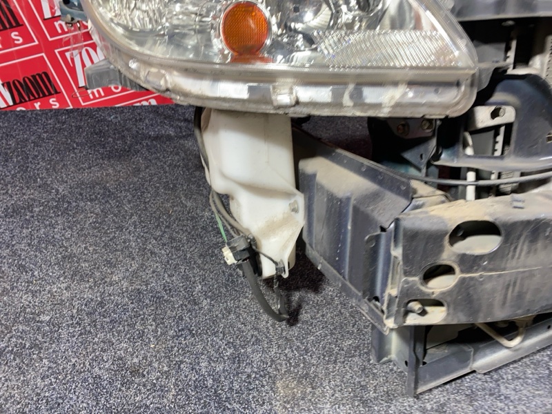 Nose cut, 28500 рублей, Солонцы