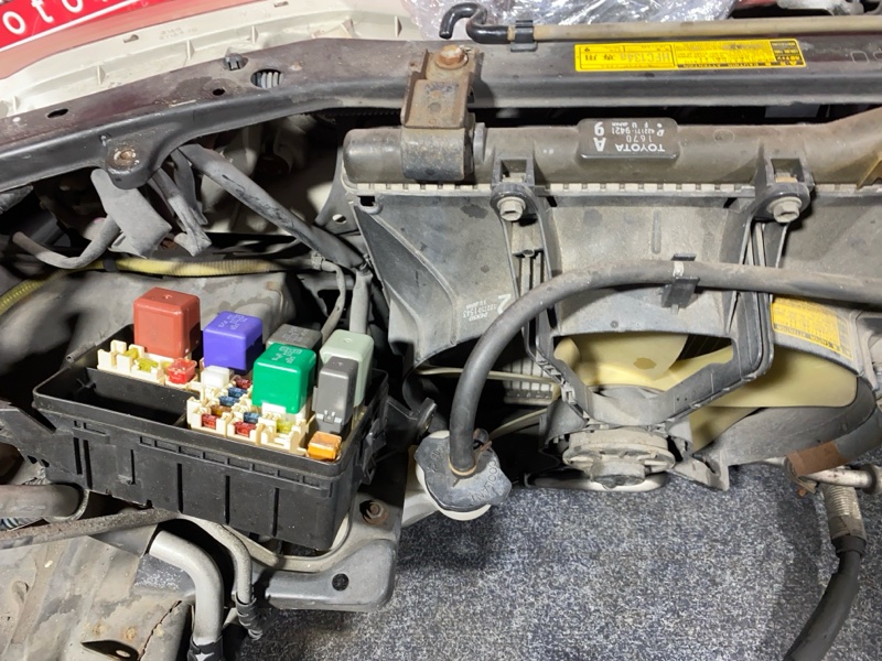 Ноускат, 85000 рублей, Солонцы