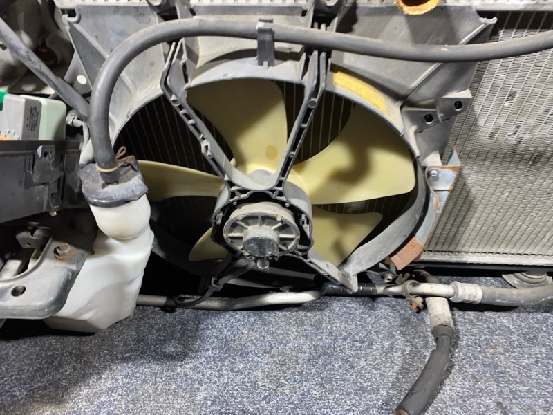 Ноускат, 85000 рублей, Солонцы