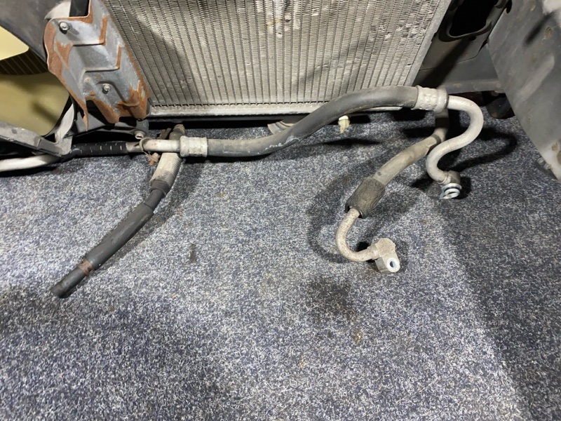 Ноускат, 85000 рублей, Солонцы