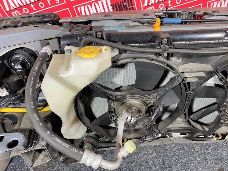 Nose cut, 65000 рублей, Солонцы