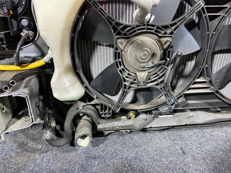 Nose cut, 65000 рублей, Солонцы