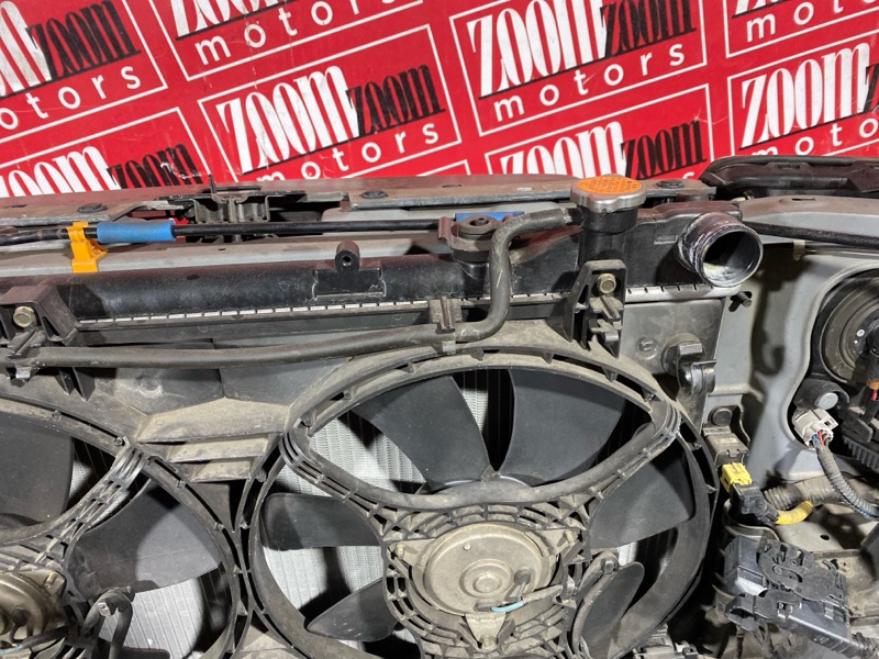 Nose cut, 65000 рублей, Солонцы