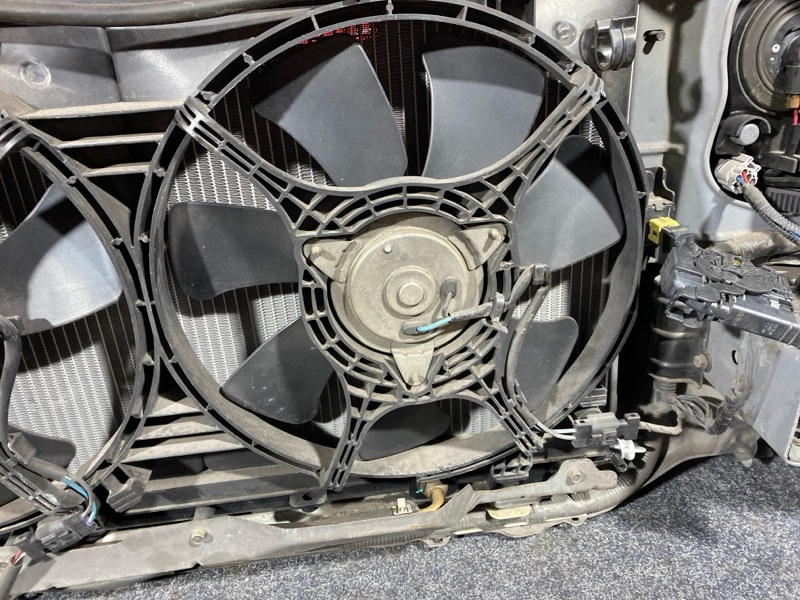 Nose cut, 65000 рублей, Солонцы