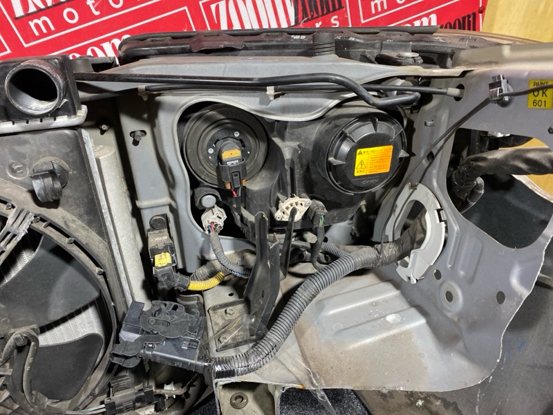 Nose cut, 65000 рублей, Солонцы