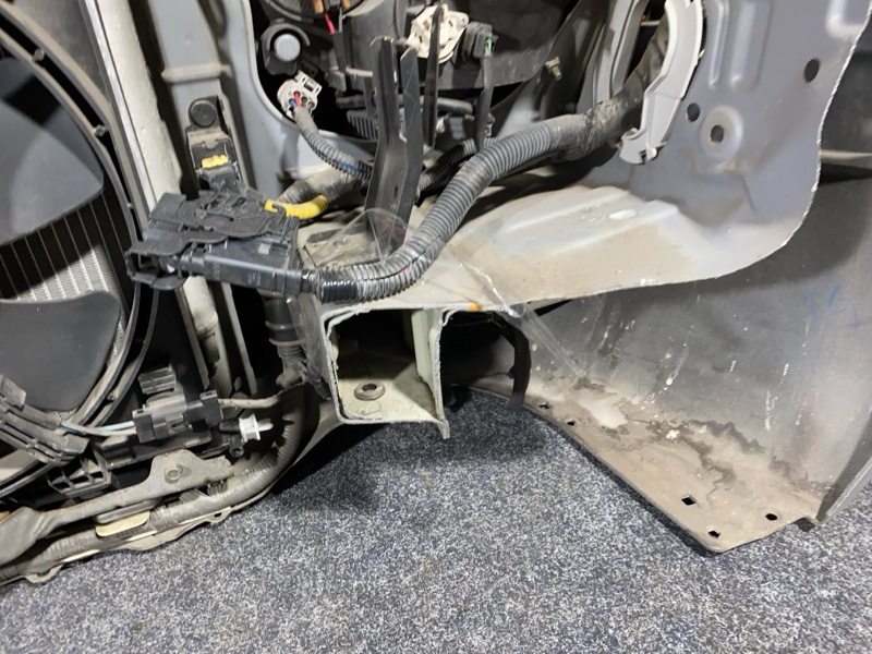 Nose cut, 65000 рублей, Солонцы