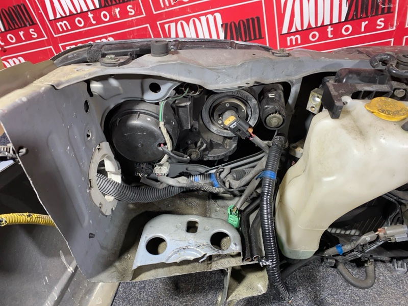 Nose cut, 40000 рублей, Солонцы