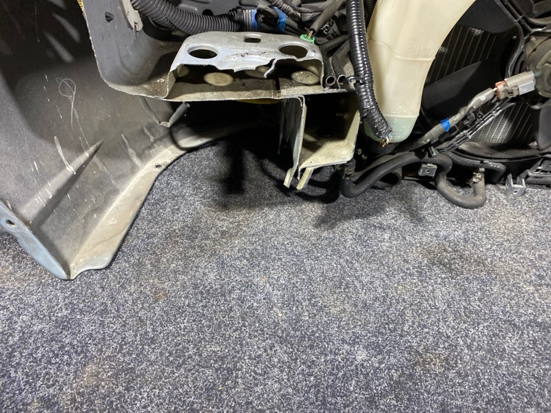 Nose cut, 40000 рублей, Солонцы