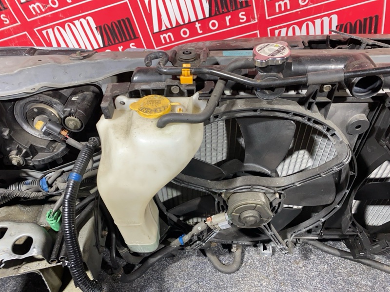 Nose cut, 40000 рублей, Солонцы