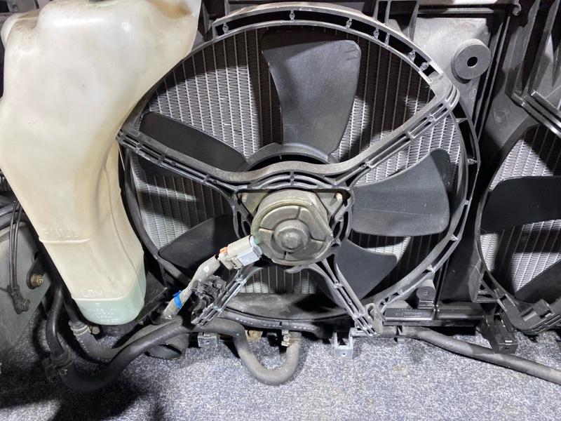 Nose cut, 40000 рублей, Солонцы