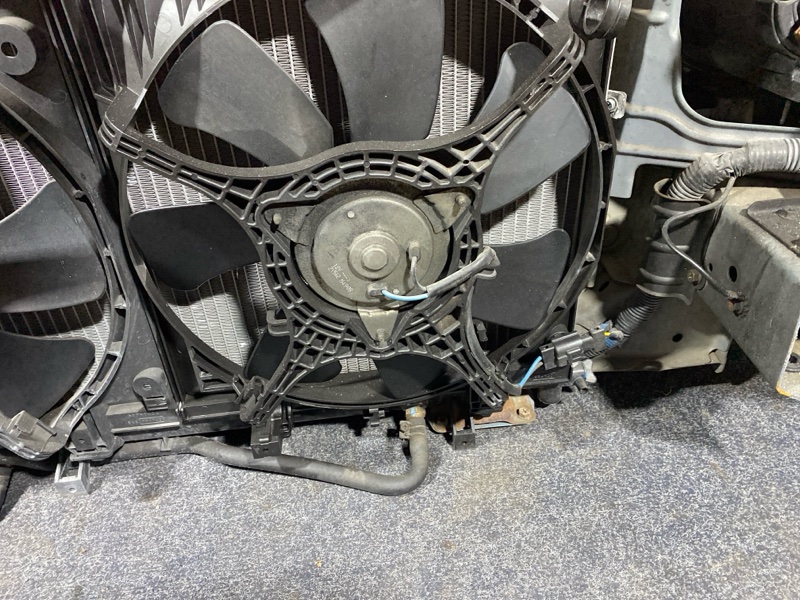 Nose cut, 40000 рублей, Солонцы