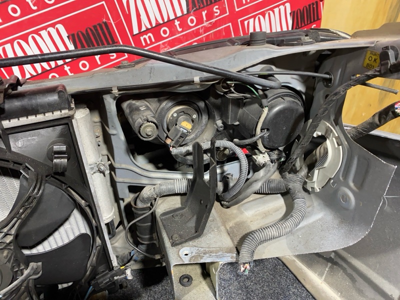 Nose cut, 40000 рублей, Солонцы