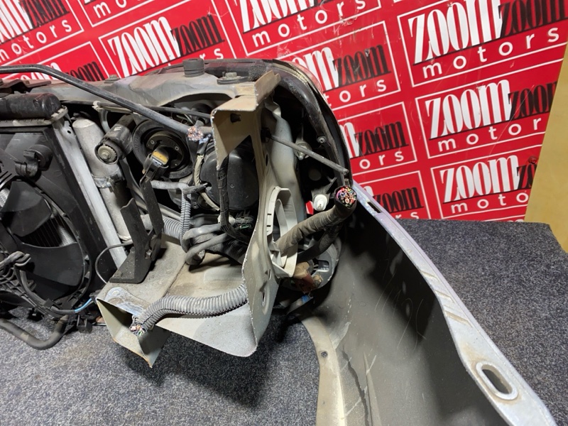 Nose cut, 40000 рублей, Солонцы