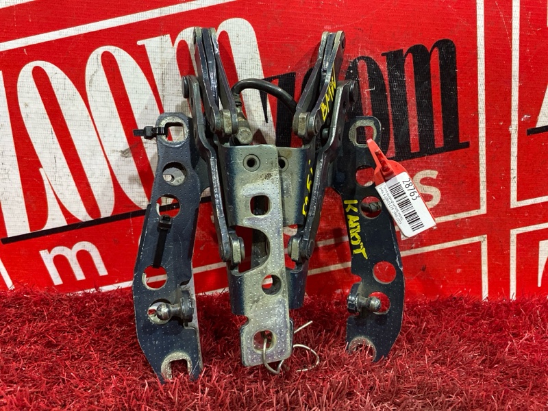 Петля (Шарнир капота), 1000 рублей, Солонцы