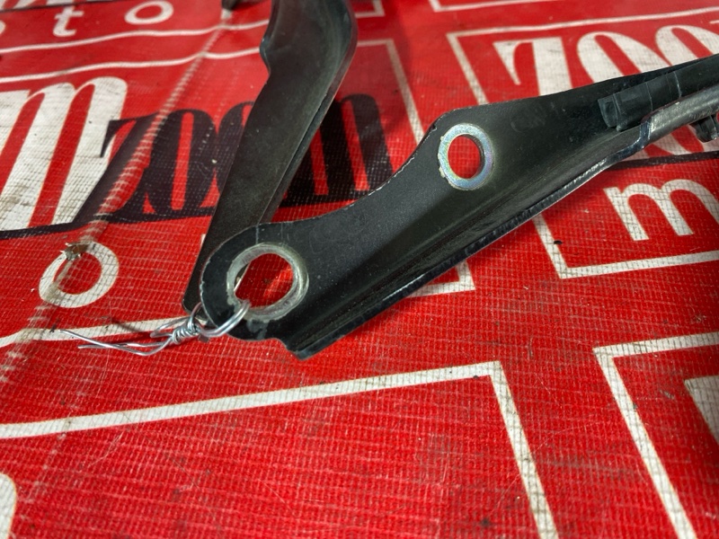 Петля (Шарнир капота), 3800 рублей, Солонцы