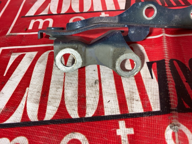 Петля (Шарнир капота), 800 рублей, Солонцы