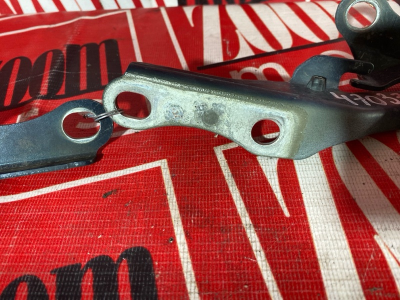 Петля (Шарнир капота), 800 рублей, Солонцы