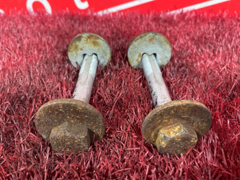 Болт развальный, 1000 рублей, Солонцы