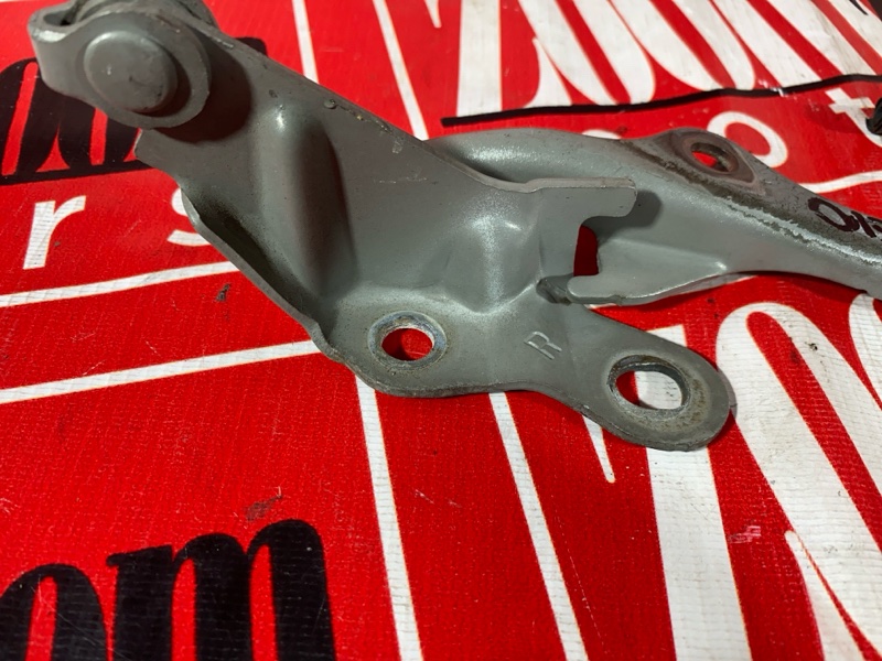 Петля (Шарнир капота), 900 рублей, Солонцы