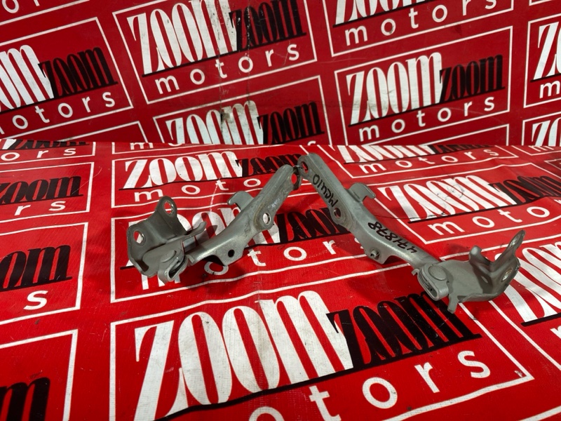 Петля (Шарнир капота), 1000 рублей, Солонцы