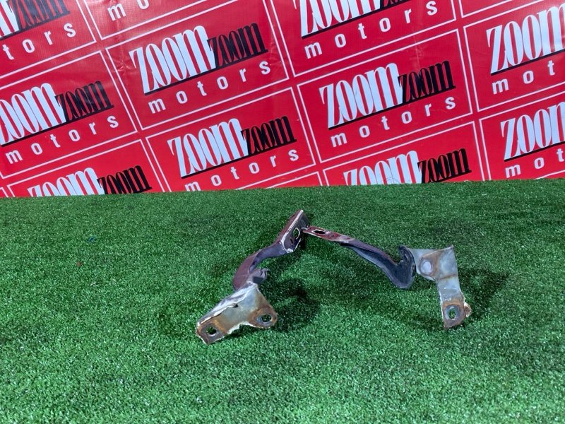 Петля (Шарнир капота), 500 рублей, Солонцы