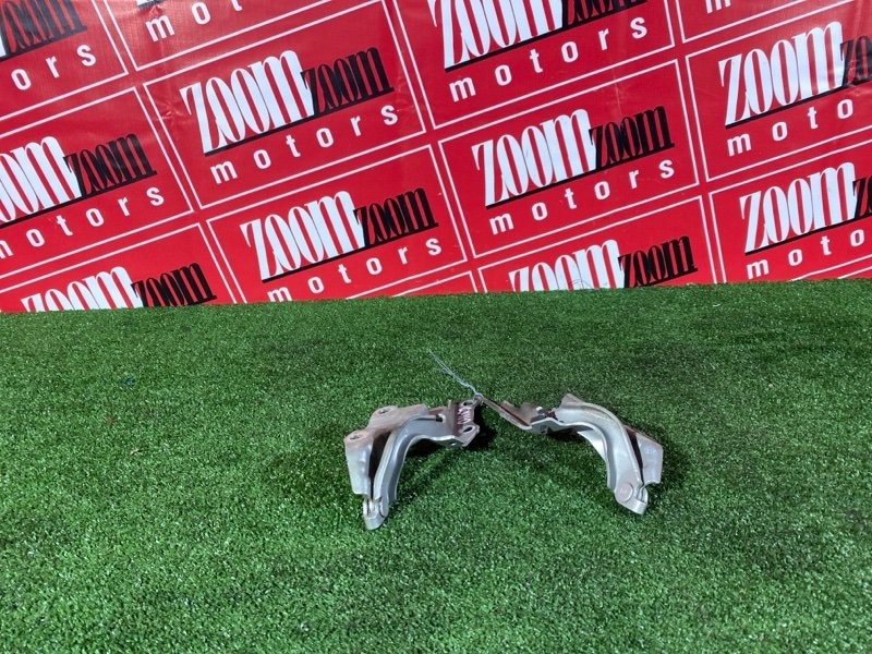 Петля (Шарнир капота), 800 рублей, Солонцы