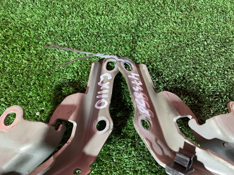 Петля (Шарнир капота), 800 рублей, Солонцы