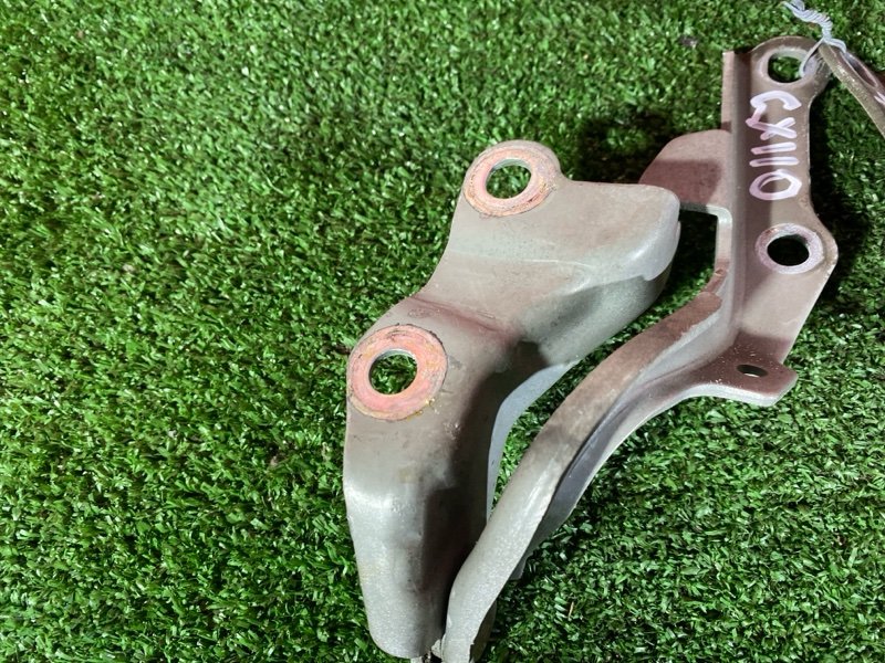 Петля (Шарнир капота), 800 рублей, Солонцы