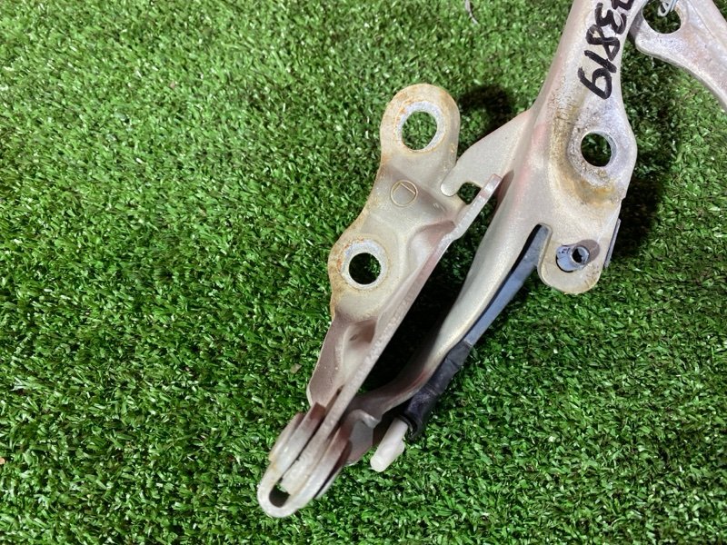 Петля (Шарнир капота), 900 рублей, Солонцы