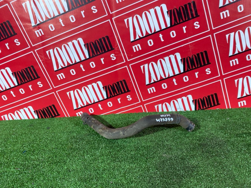 Патрубок радиатора, 500 рублей, Солонцы