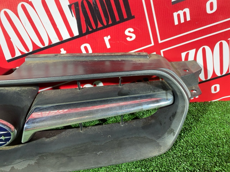 Решетка радиатора, 1000 рублей, Солонцы